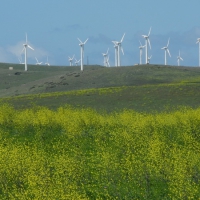 Image00009