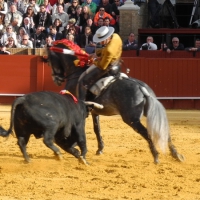 Image00011
