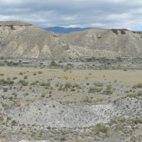 Image00039