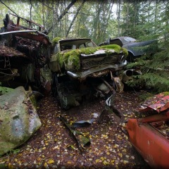 Image00006