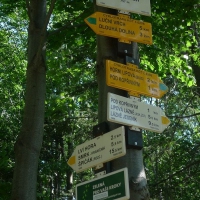 Image00006