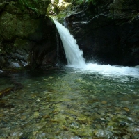 Image00012