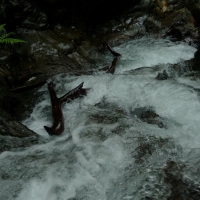 Image00013