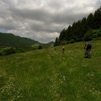 Image00007
