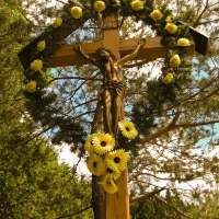 Image00012