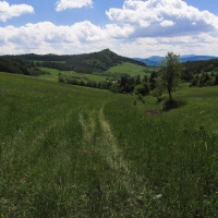 Image00013