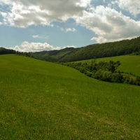 Image00017