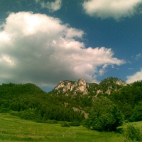 Image00020