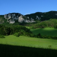 Image00026