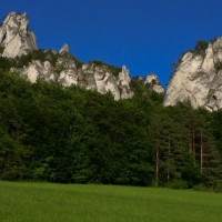 Image00028