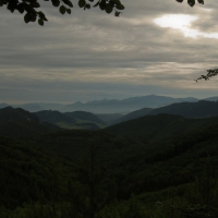 Image00032