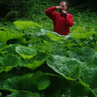Image004