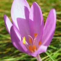 Image00010