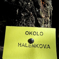Image00017