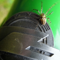 Image00023