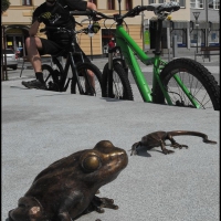 Image00071
