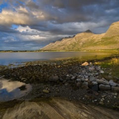 Image00016