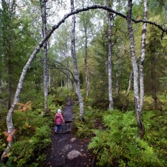 Image00020