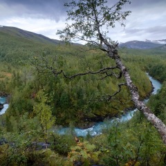 Image00025