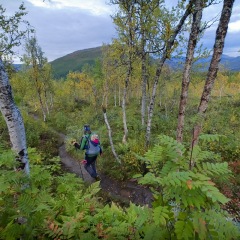 Image00042