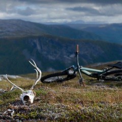 Image00048