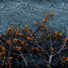 Image00052