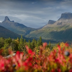 Image00065