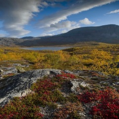 Image00068