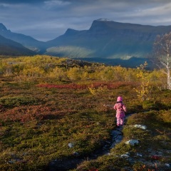 Image00069
