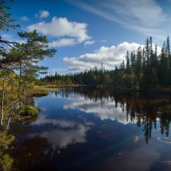 Image00081