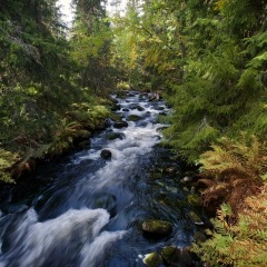 Image00082
