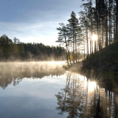 Image00092