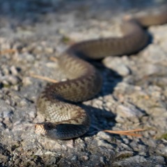 Image00098