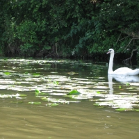 Image00013