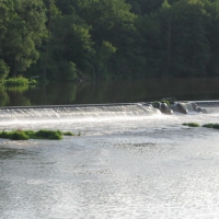 Image00016