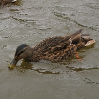 Image00019