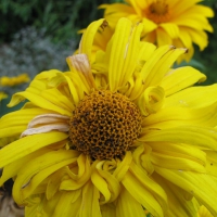 Image00033