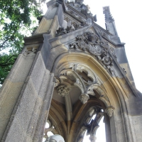 Image00036