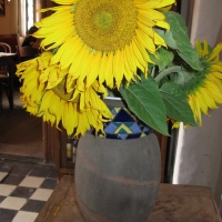 Image00040