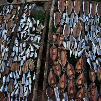 Image00010
