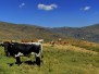 Andalucía 2009
