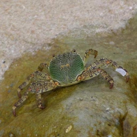Image00017