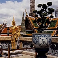 Image00002
