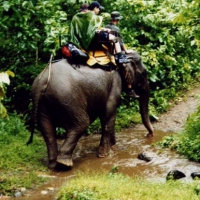 Image00009
