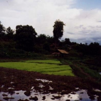 Image00010