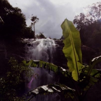 Image00012