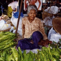 Image00013