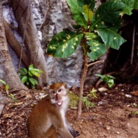 Image00015