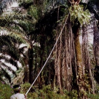 Image00024