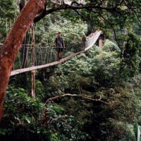 Image00027